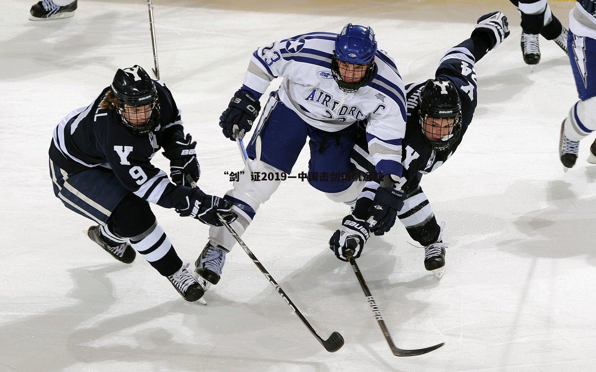 “剑”证2019—中国击剑扬帆远航