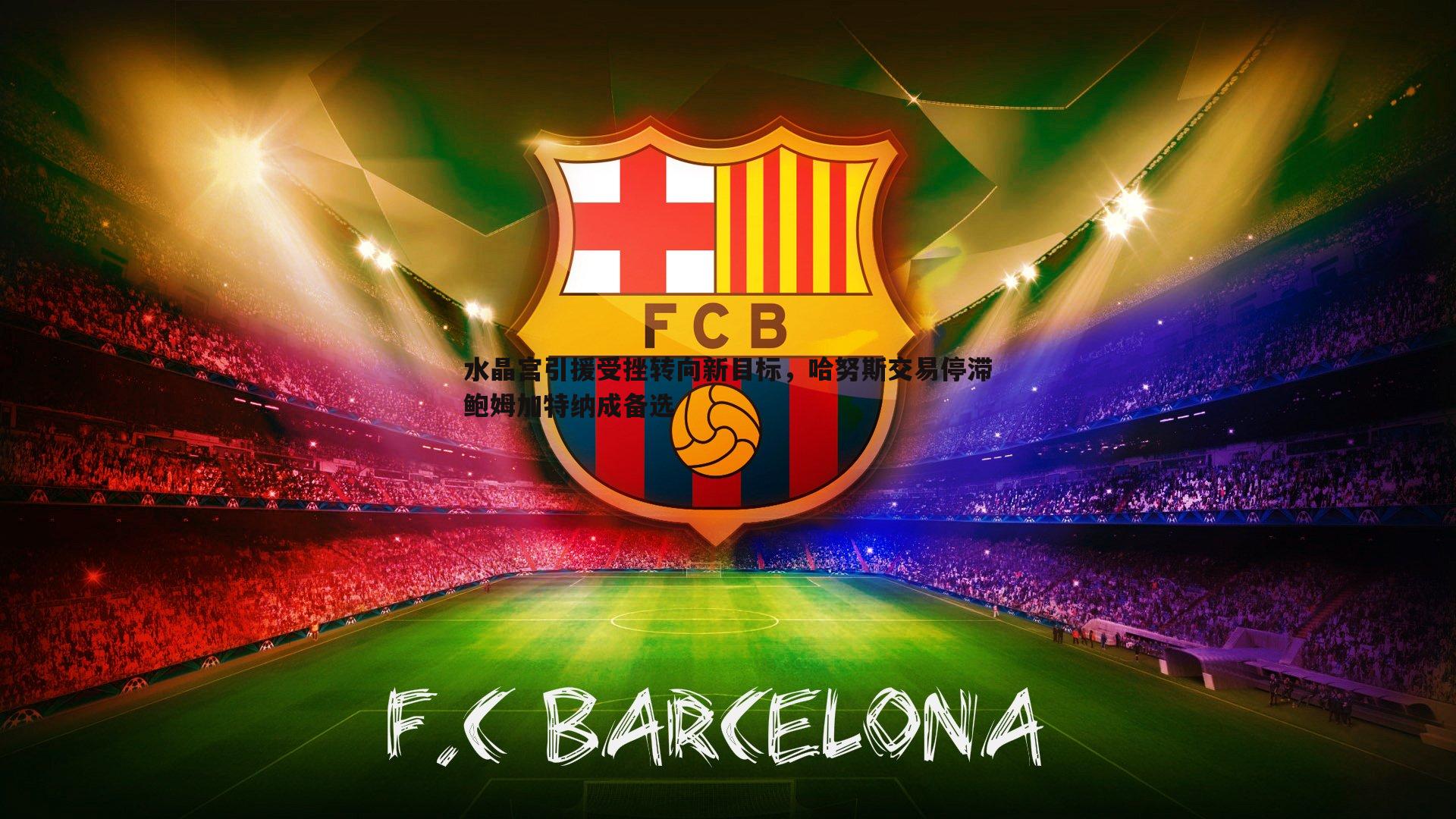 水晶宫引援受挫转向新目标,哈努斯交易停滞鲍姆加特纳成备选